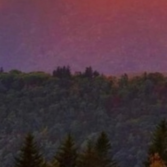 Live shows NIGHT TIME shows nights please like ❤️ - Picture 2 of 8